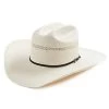 Resistol 20X Wyoming Straw Hat -Cowboy Store rshwym